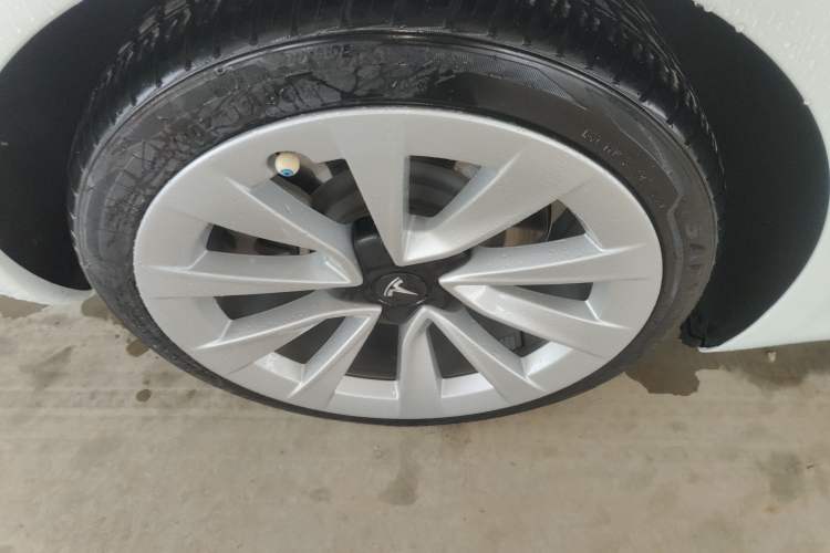 Used Tesla Model 3 2021 Standard Range Rear-Drive Upgraded Version
