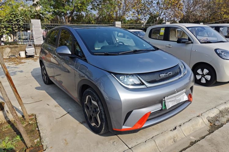 Used BYD Dolphin 2021 405 km Free Version
