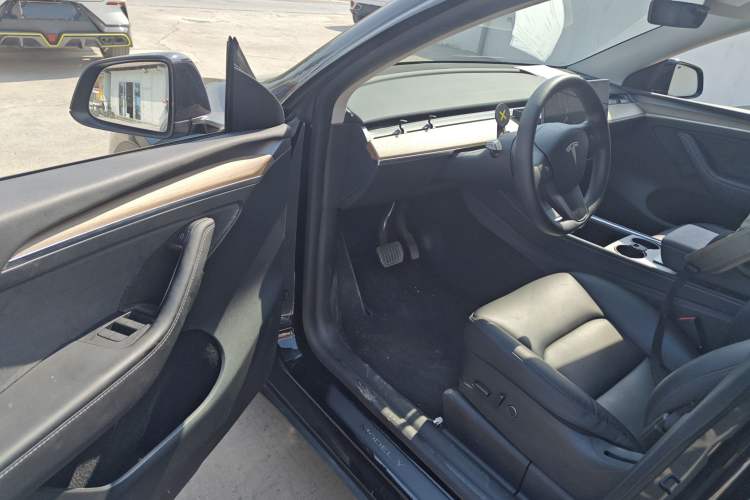 Used Tesla Model Y 2021 Standard Range Rear-Wheel Drive Version
