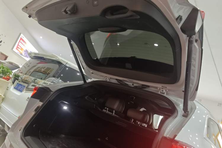 Used Wey Mocha 2021 2.0T Two-Wheel-Drive Premium Edition