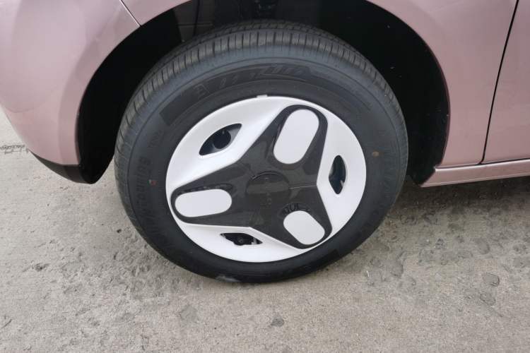 Used  Panda 2025 210 km – Yuanqi Bear