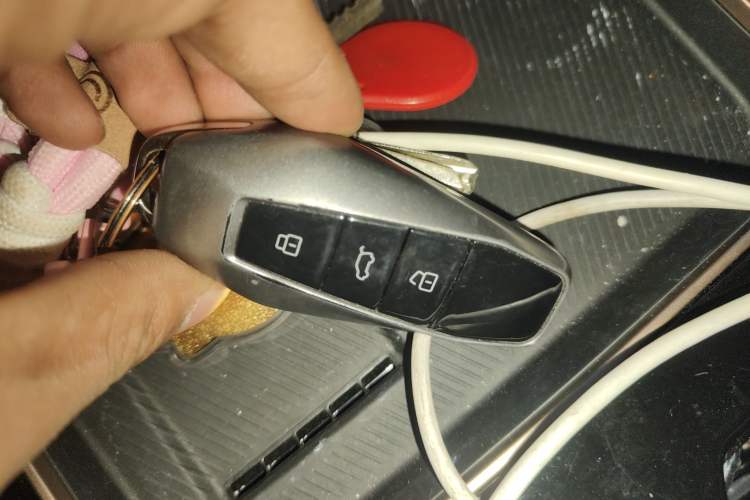 Used  03 2024 501km Two-Wheel Drive Long-Range Version