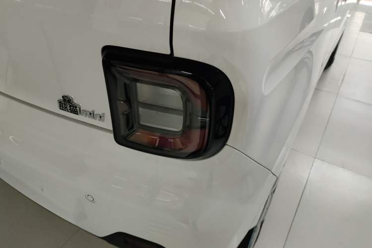 Used  Panda 2024 Panda Mini 200km Longteng PRO Edition
