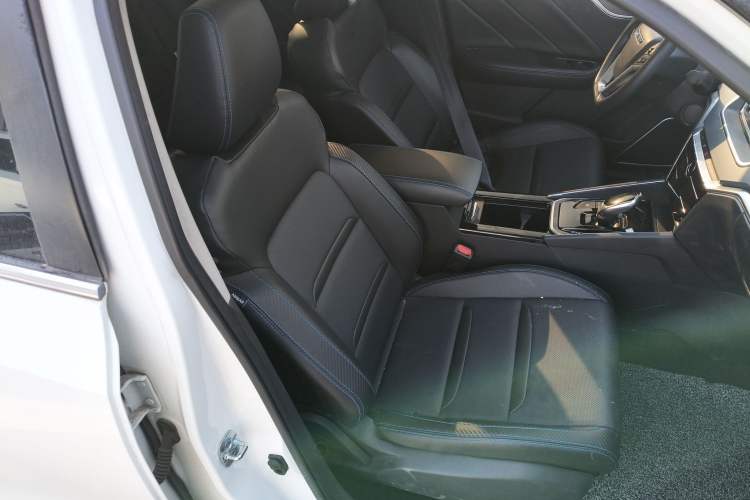 Used Venucia T60EV 2020 AI Enjoyment Model
