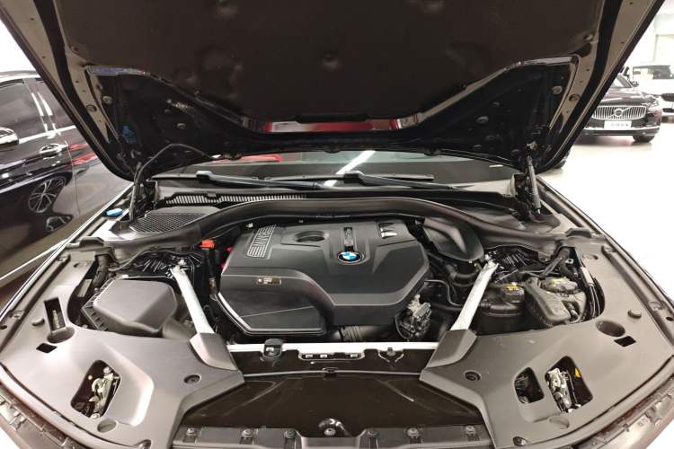 Used BMW 5 Series 2020 530Li Luxury Edition M Sport Package
