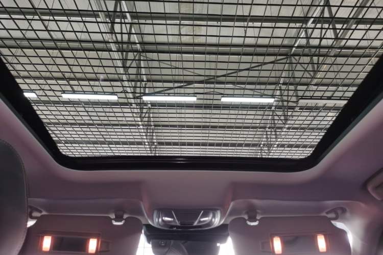 Used Haval DARGO 2024 2.0T DCT Chinese Rural Dog Edition