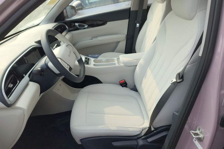 Used  Geome 2026 Model 310km Youth Edition
