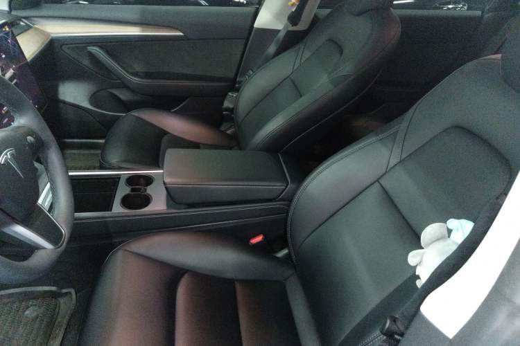 Used Tesla Model 3 2022 Rear-Wheel-Drive Version
