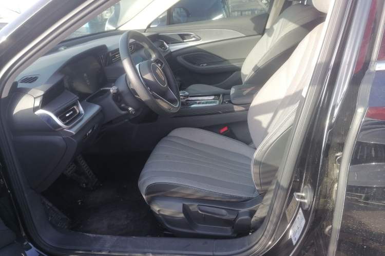 Used Hongqi H5 2024 1.5T DCT Smart Connect Flagship Edition