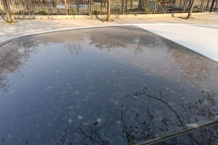 Used Volkswagen Golf 2020 Zhiai Edition 280TSI DSG Comfort Model
