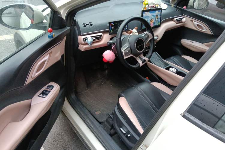 Used BYD Seagull 2023 Flying Edition
