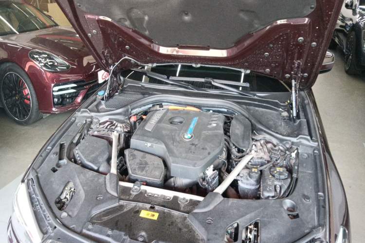 Used BMW 5 Series New Energy 2019 530Le Luxury Package