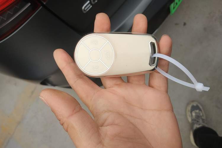 Used ORA Ballet Cat 2022 401 km Alice Edition