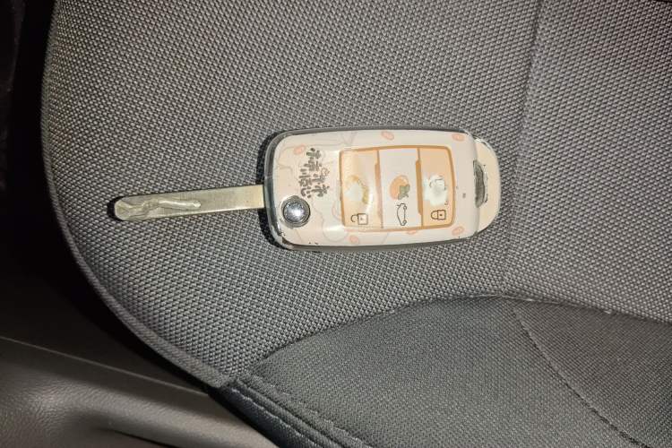 Used  Lumin 2023 205km Xiangqin Version
