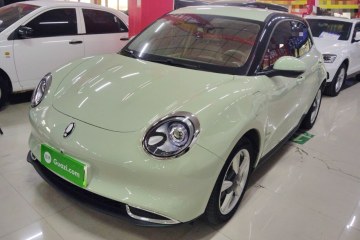 Used ORA Good Cat 2023 401 km Standard Range Luxury Version Lithium Iron Phosphate