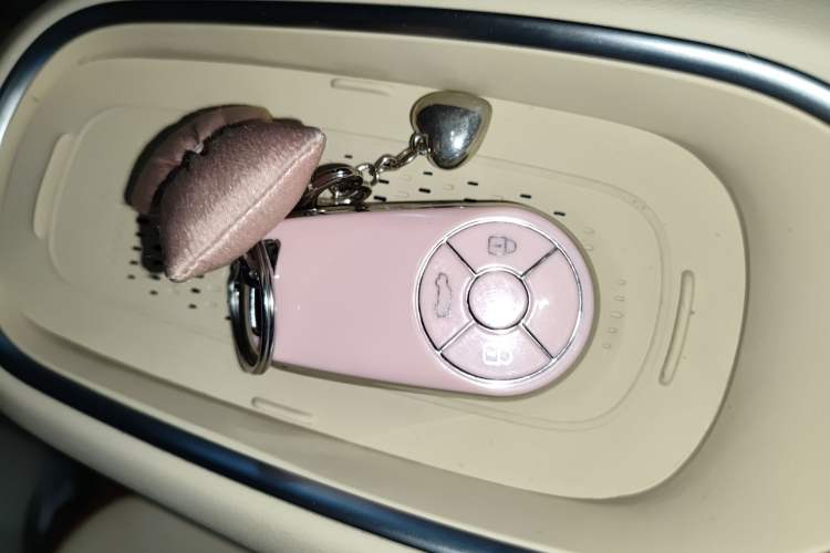 Used ORA Good Cat 2023 401 km Standard Range Luxury Version Lithium Iron Phosphate