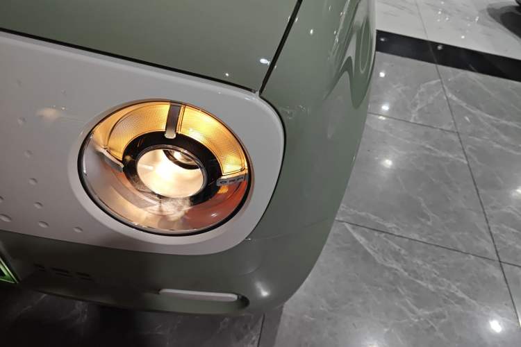 Used ORA Black Cat 2021 301 km Basic Version
