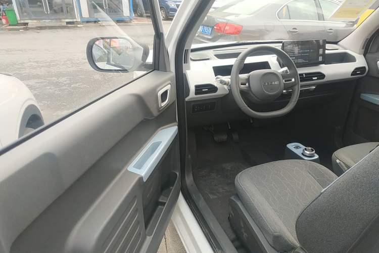 Used  Panda 2024 Panda Mini 200km Endurance Bear
