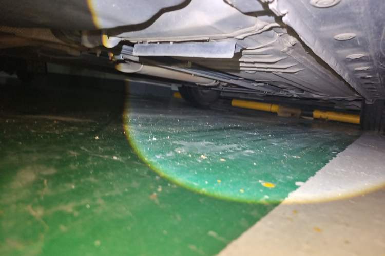 Used Nissan Sylphy 2019 Classic 1.6XL CVT Luxury Edition
