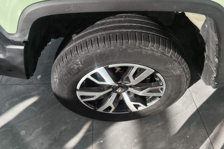 Used Tank 300 2021 City Edition 2.0T—Truly Stylish