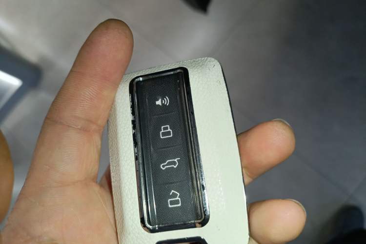 Used Tank 700 New Energy 2024 Hi4-T Extreme Edition
