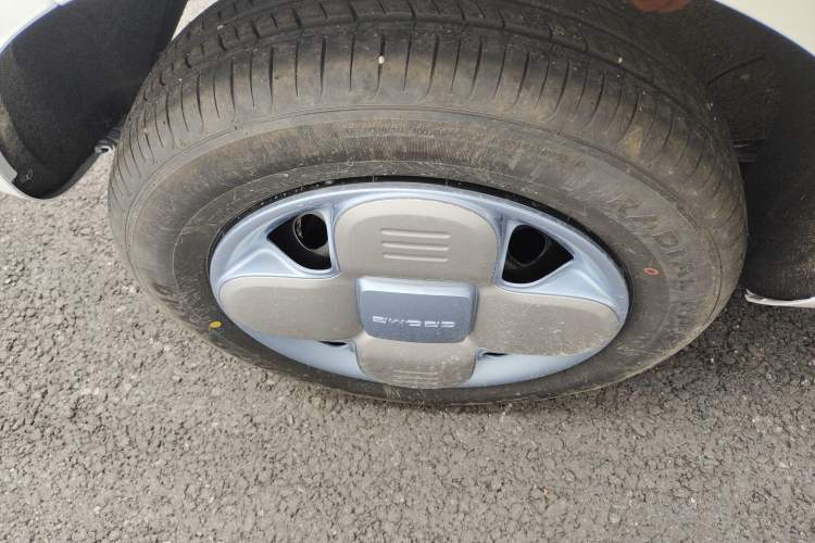 Used  Panda 2024 Panda Mini 200km Endurance Bear