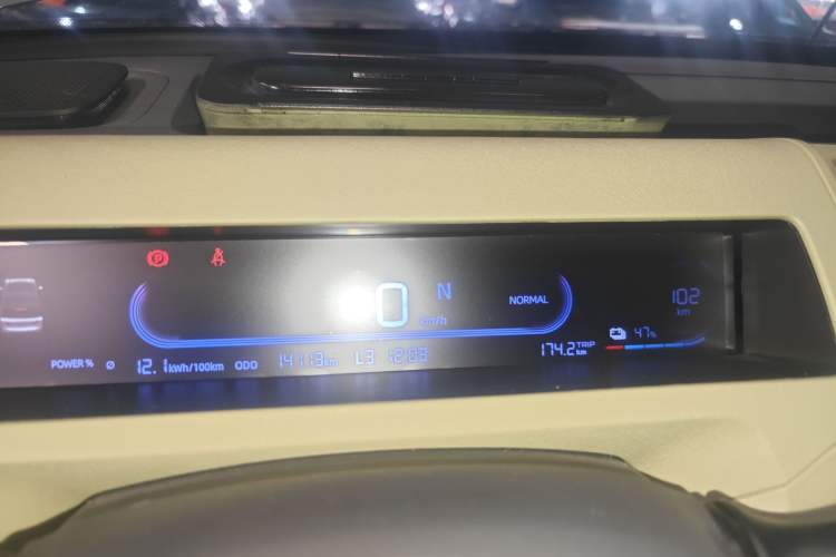 Used  Panda 2024 200km Panda Rider