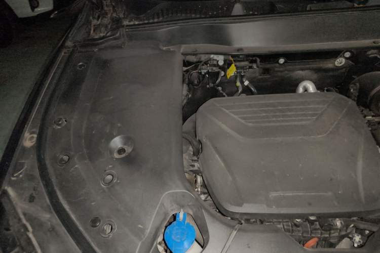 Used Wey Latte DHT-PHEV 2022 1.5T Two-Wheel Drive Big Cup
