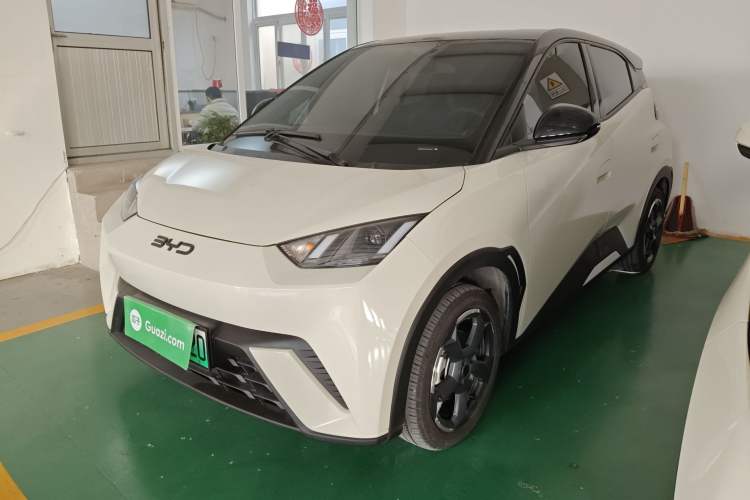 Used BYD Seagull 2024 Honor Edition 305km Freedom Version