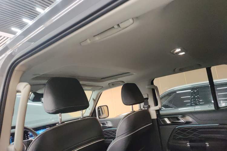 Used Tank 300 2023 City Edition 2.0T Essential Model