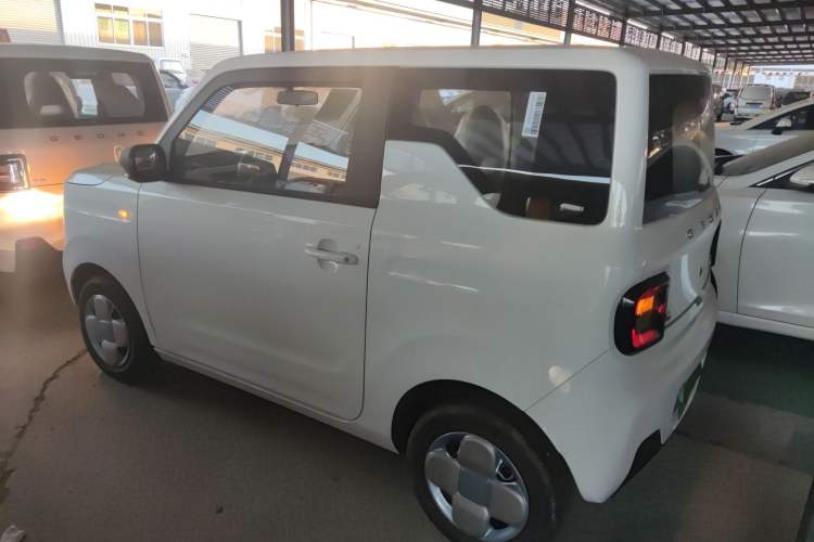 Used  Panda 2024 Panda Mini 200km Endurance Bear