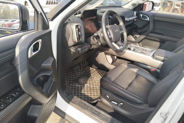 Used Haval DARGO 2024 2.0T DCT Chinese Rural Dog Edition
