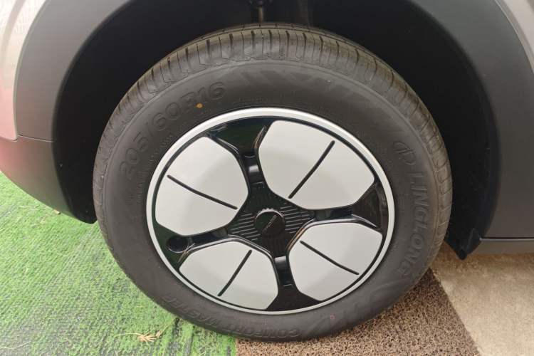 Used  Geome 2025 310km Youth Edition