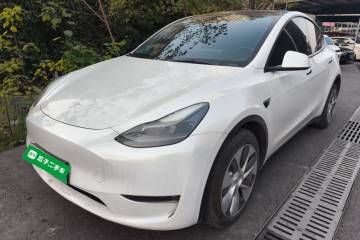 Used Tesla Model Y 2022 Long-Range All-Wheel-Drive Version