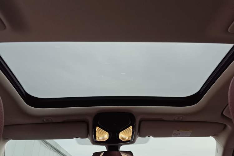 Used BMW 5 Series New Energy 2021 535Le Luxury Package
