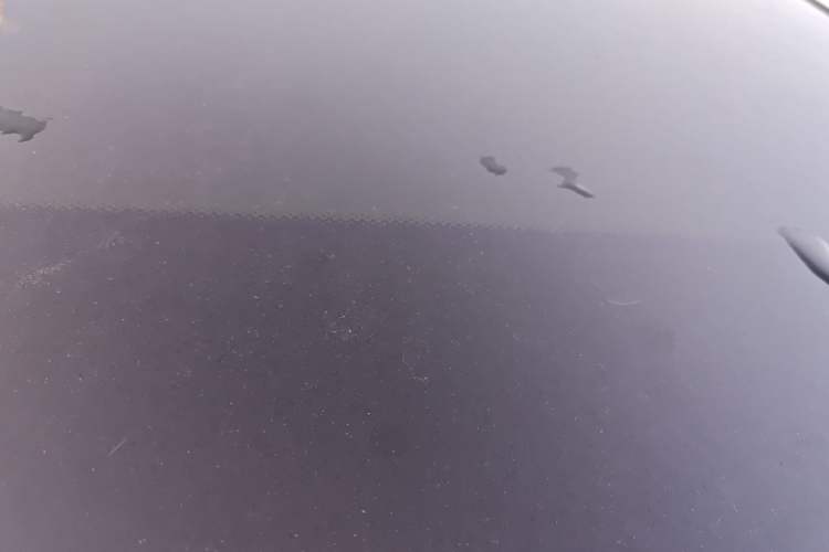 Used Mercedes-Benz C-Class 2016 C 200 L Sport Edition
