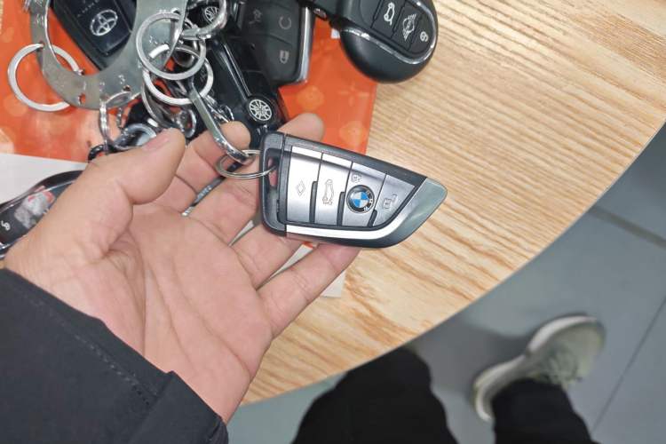 Used BMW 5 Series New Energy 2019 530Le Luxury Package