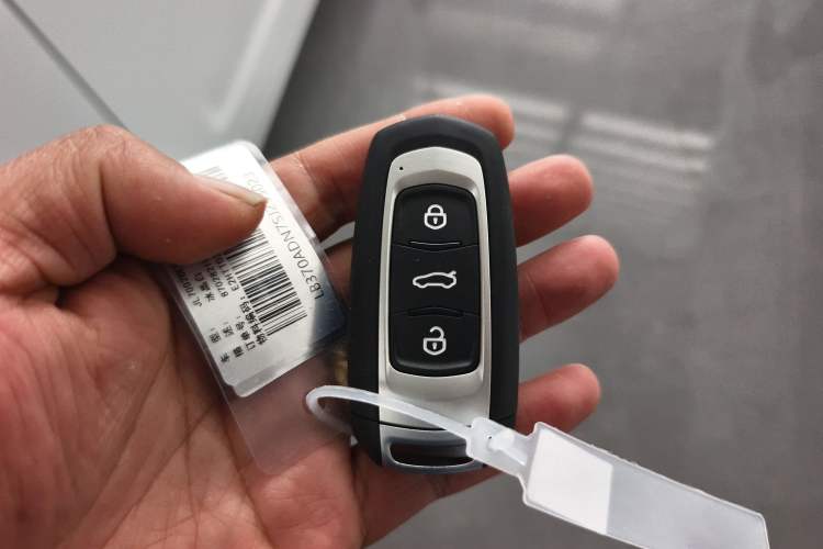 Used  Panda 2025 210 km – Yuanqi Bear
