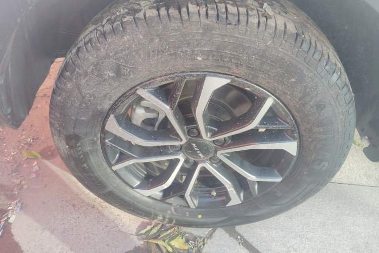 Used Haval H6 2023 National Trend Edition 1.5T Automatic Urban Version
