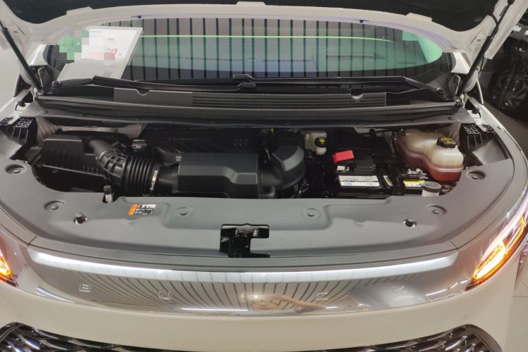 Used Buick Century 2025 2.0T Four-Seat Private Edition
