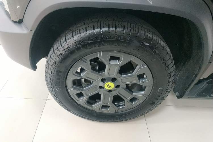 Used  Shanhai T2 2024 C-DM 206KM Four-Wheel Drive Wilderness Edition