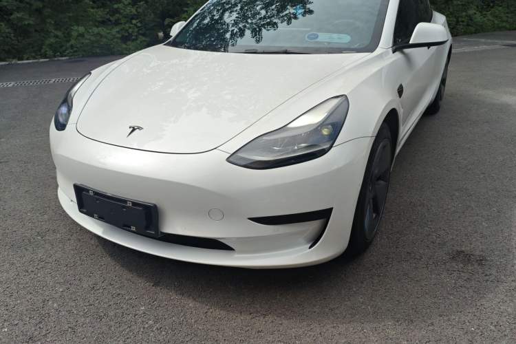 Used Tesla Model 3 2021 Standard Range Rear-Drive Upgraded Version
