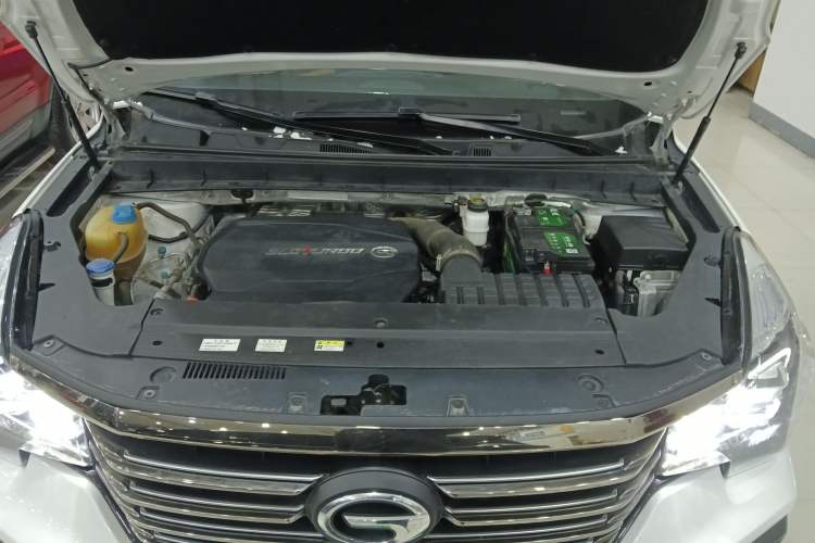 Used GAC Trumpchi GS8 2020 390T Two-Wheel Drive Luxury Smart Connectivity Commemorative Edition (7 Seats)
