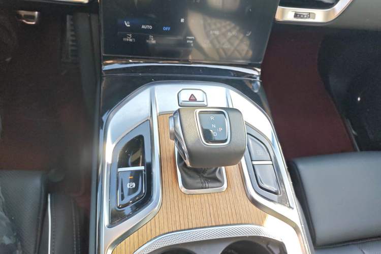 Used Hongqi E-HS9 2021 460 km Range Flagship Edition Six-Seater
