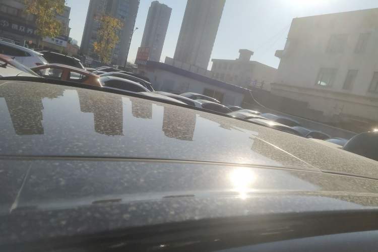 Used Wey Lanshan 2023 Four-Wheel Drive Ultra-Long Range Version