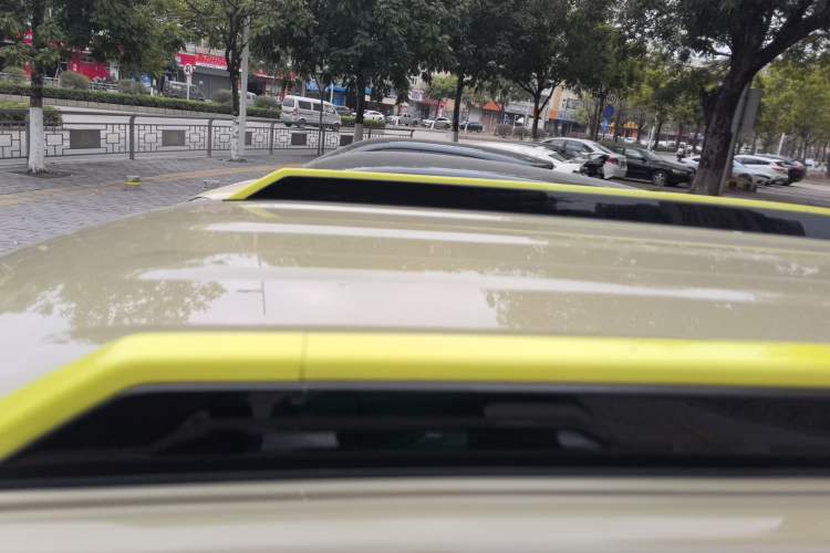 Used  Panda 2024 200km Panda Rider