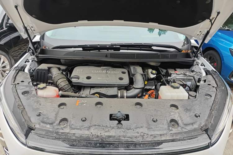 Used Buick GL8 New Energy 2024 Lu Zun Luxury Edition 6-Seater
