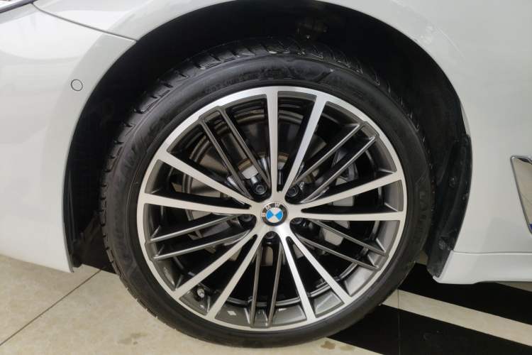 Used BMW 5 Series 2020 530Li Luxury Edition M Sport Package