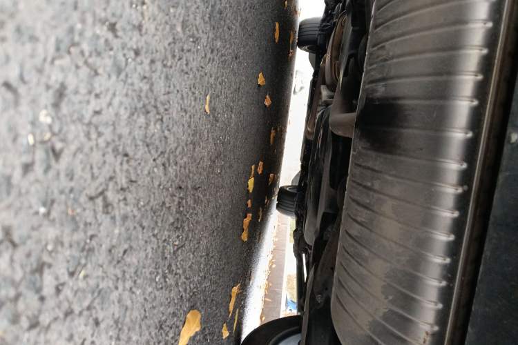 Used Volkswagen Viloran 2022 380TSI Luxury Edition
