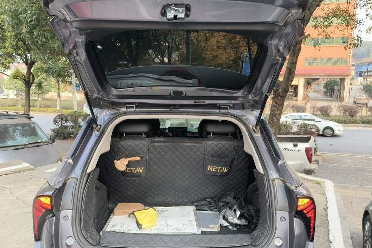 Used NETA V 2021 Long-Range Entertainment Edition Upgrade Model
